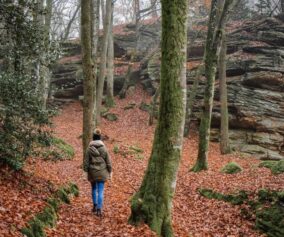 wandern im wald