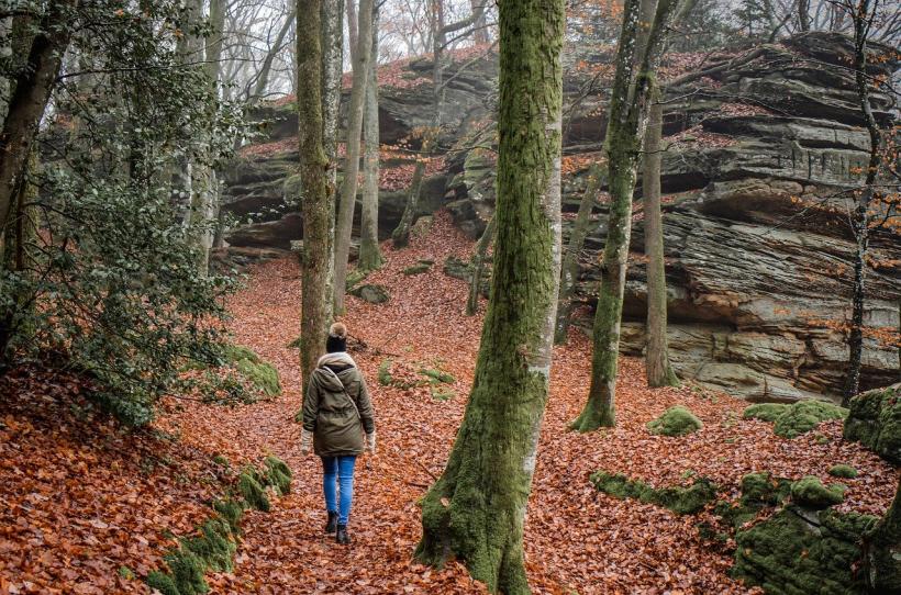 wandern im wald