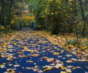 Herbstspaziergang