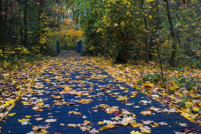 Herbstspaziergang